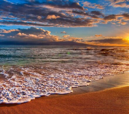 شهرداری بندر کرگان